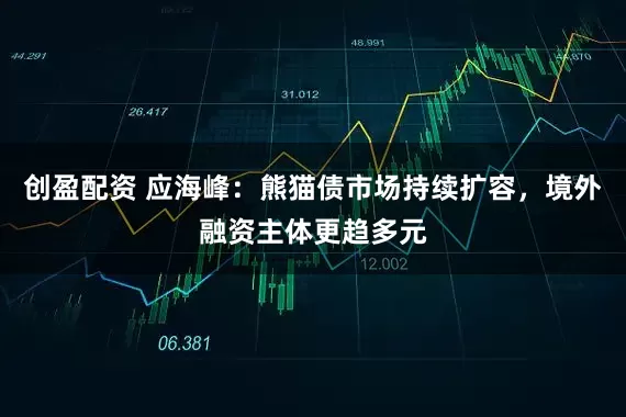 创盈配资 应海峰：熊猫债市场持续扩容，境外融资主体更趋多元