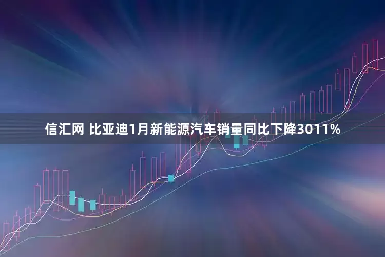 信汇网 比亚迪1月新能源汽车销量同比下降3011%