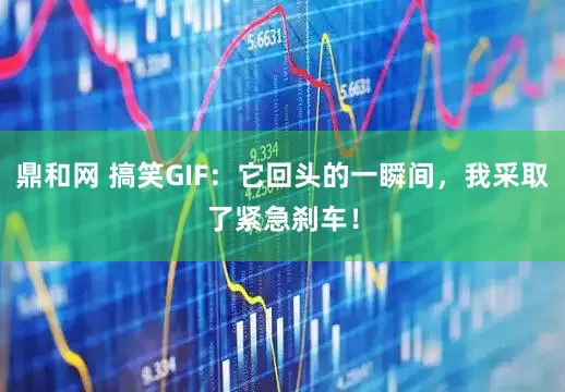 鼎和网 搞笑GIF：它回头的一瞬间，我采取了紧急刹车！
