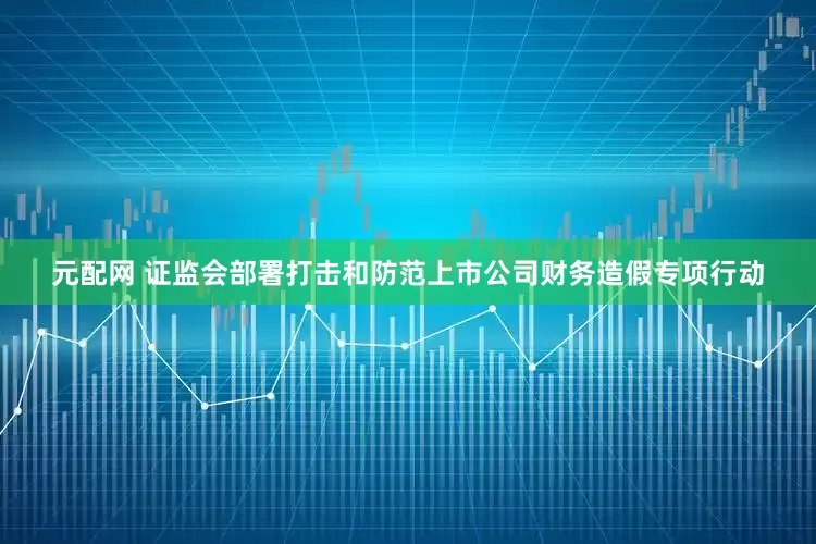元配网 证监会部署打击和防范上市公司财务造假专项行动